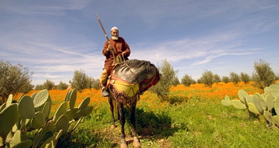 Moroccan Horseman by Jack Wickes