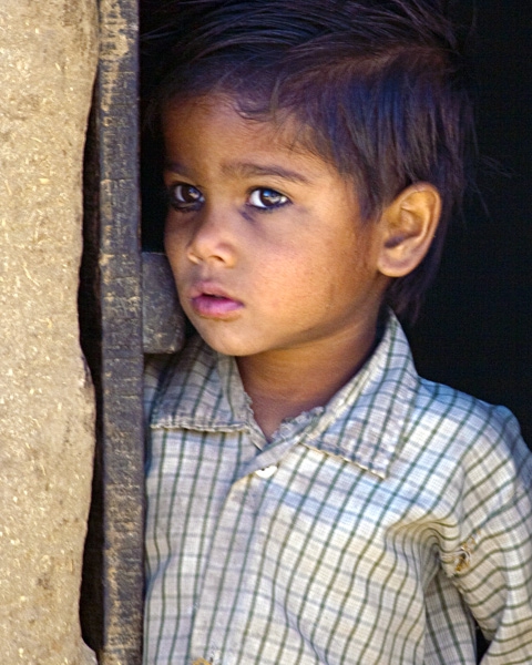 Rugsellers Son by Jack Wickes