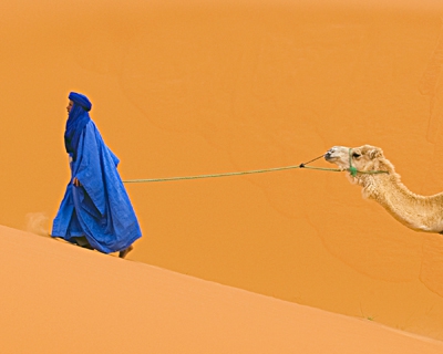 Click here to view Sahara Desert artwork by Jack Wickes 