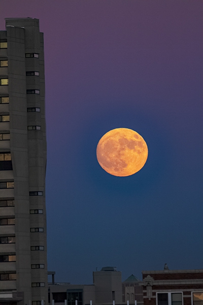 Click here to view s-- City Moon  by Jack Wickes 