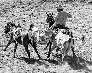 Click here to view A Cowboy